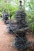 Wire snares for poaching,South Africa