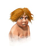 Neanderthal child,artwork