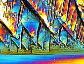 Silicon crystal,light micrograph