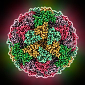 Lumazine synthase molecule