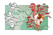 Bird flu,conceptual artwork