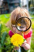 Examining flower with magnifying glass