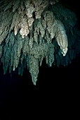 Underwater limestone cave formations