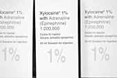 Xylocaine anaesthetic packets