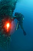 Commercial Diver at work