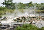 Semuliki Hot springs