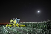 Corn picker in a field