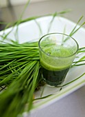 Wheat Grass juice