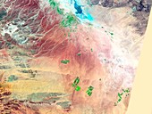 Saudi Arabia agriculture,1991