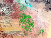 Saudi Arabia agriculture,2000