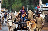 Lohar nomads,India