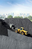 Coal pile,France