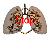 Stop smoking,conceptual artwork