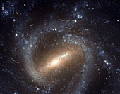 Spiral galaxy NGC 1073,HST image
