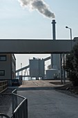Shotton biomass plant