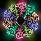 VSIV virus protein complex
