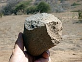 Oldowan stone tool