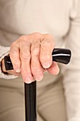 Arthritic hand and walking stick