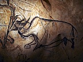 Prehistoric cave paintings,Chauvet