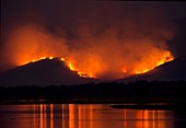 Bushfire,Zambia