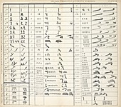 Ancient Egyptian numerals,19th century