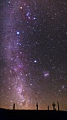 Milky Way and cacti,Atacama Desert Chile