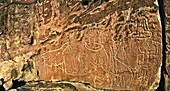 Atacama petroglyphs,Chile