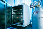 Carbon dioxide incubator