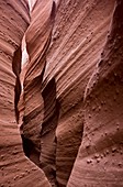 Peek-a-boo slot canyon,USA