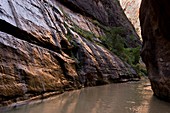 The Narrows,Utah,USA