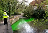 Fluorescein Dye Tracing in a Chalk Stream