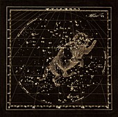 Lynx constellation,1829