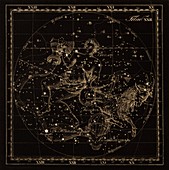 Aquarius constellations,1829