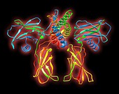 Erythropoietin hormone complex