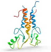 Breast cancer protein molecule