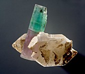 Tourmaline crystal specimen