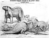 Iguanodon and Hylaeosaurus,19th century