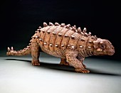 Euoplocephalus dinosaur,museum model