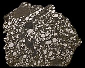 Estherville meteorite fragment