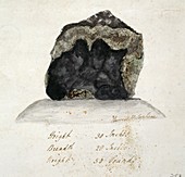 Wold Cottage meteorite,1795
