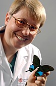 Kim Goodger with butterfly specimen