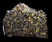 Pallasite meteorite