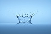 Splash crown of a falling water drop