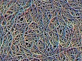 Artificial organic material,SEM