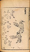 Chinese explosives,18th-19th century