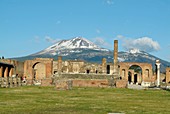 Pompeii and Vesuvius