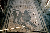 Cave Canem mosaic,Pompeii