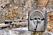 Water fountain,Pompeii