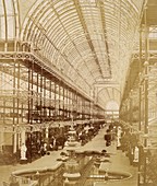 The Nave of Crystal Palace,1850s