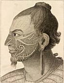 New Zealand warrior chief,18th century